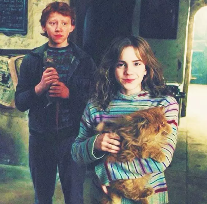 10-reasons-explain-why-emma-watson-is-the-most-beautiful-woman-in-the-world_2