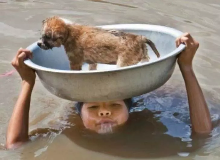 10-unbelievable-stories-of-people-doing-things-for-animals_10