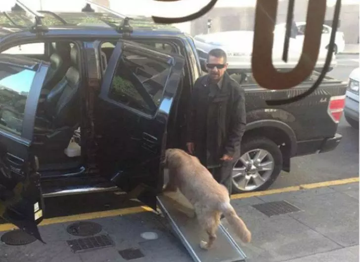 10-unbelievable-stories-of-people-doing-things-for-animals_3