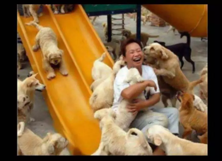 10-unbelievable-stories-of-people-doing-things-for-animals_5