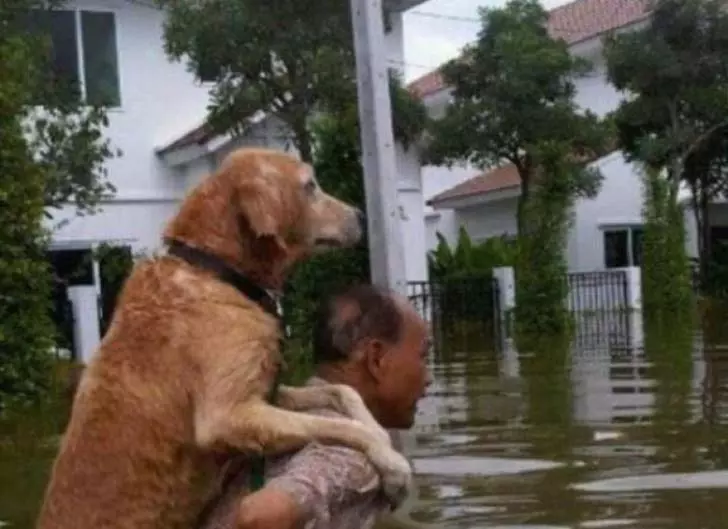 10-unbelievable-stories-of-people-doing-things-for-animals_8