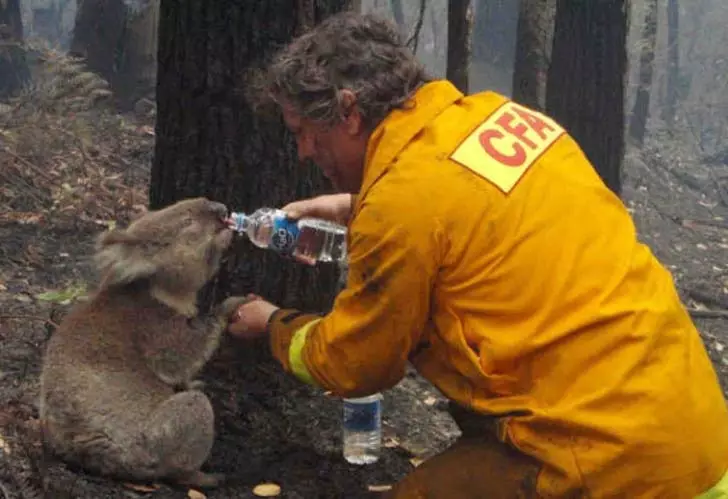 10-unbelievable-stories-of-people-doing-things-for-animals_9