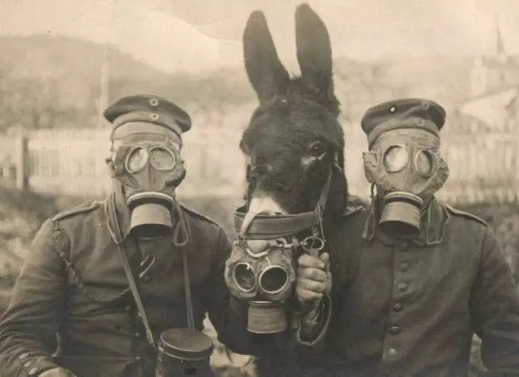 27-incredibly-rare-photos-from-history_6