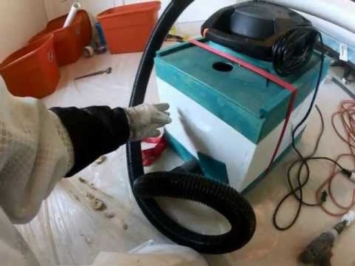 A Woman Heard Noises Coming From The Walls, Later She Realized What's Making Them_19