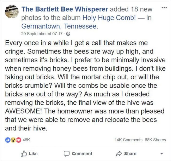 A Woman Heard Noises Coming From The Walls, Later She Realized What's Making Them_21