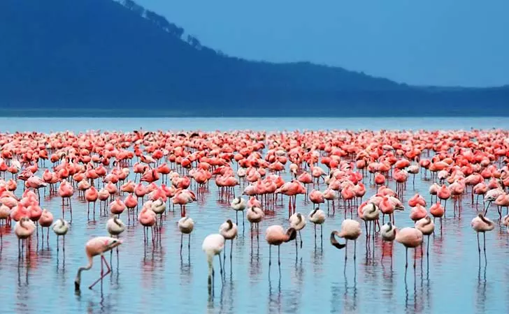 top-8-colorful-scenes-worth-traveling-for-in-the-world_2
