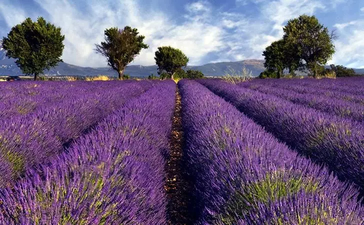 top-8-colorful-scenes-worth-traveling-for-in-the-world_4