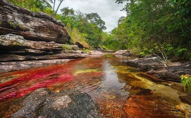 top-8-colorful-scenes-worth-traveling-for-in-the-world_8